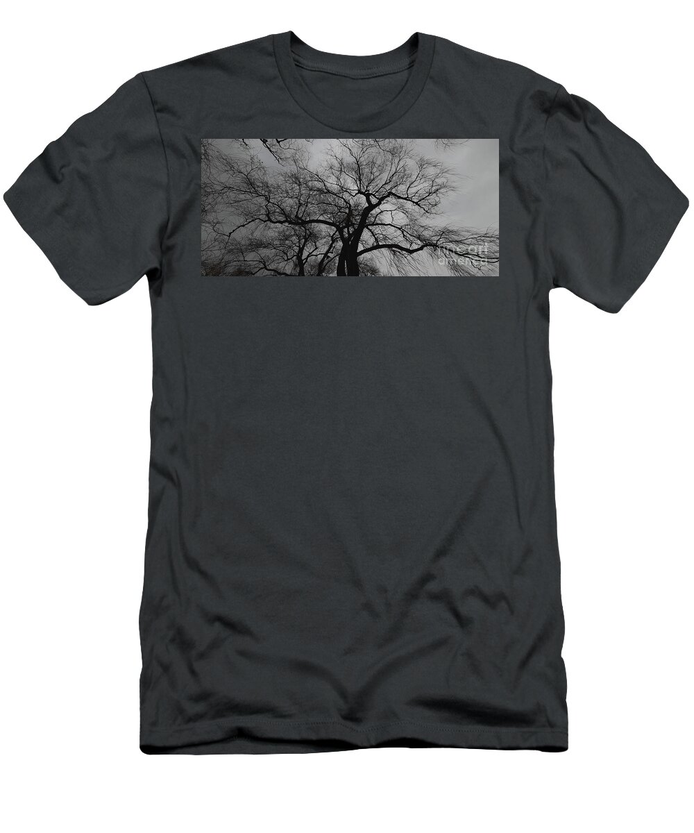 Nature T-Shirt featuring the photograph Even Trees Look Around by fototaker Tony