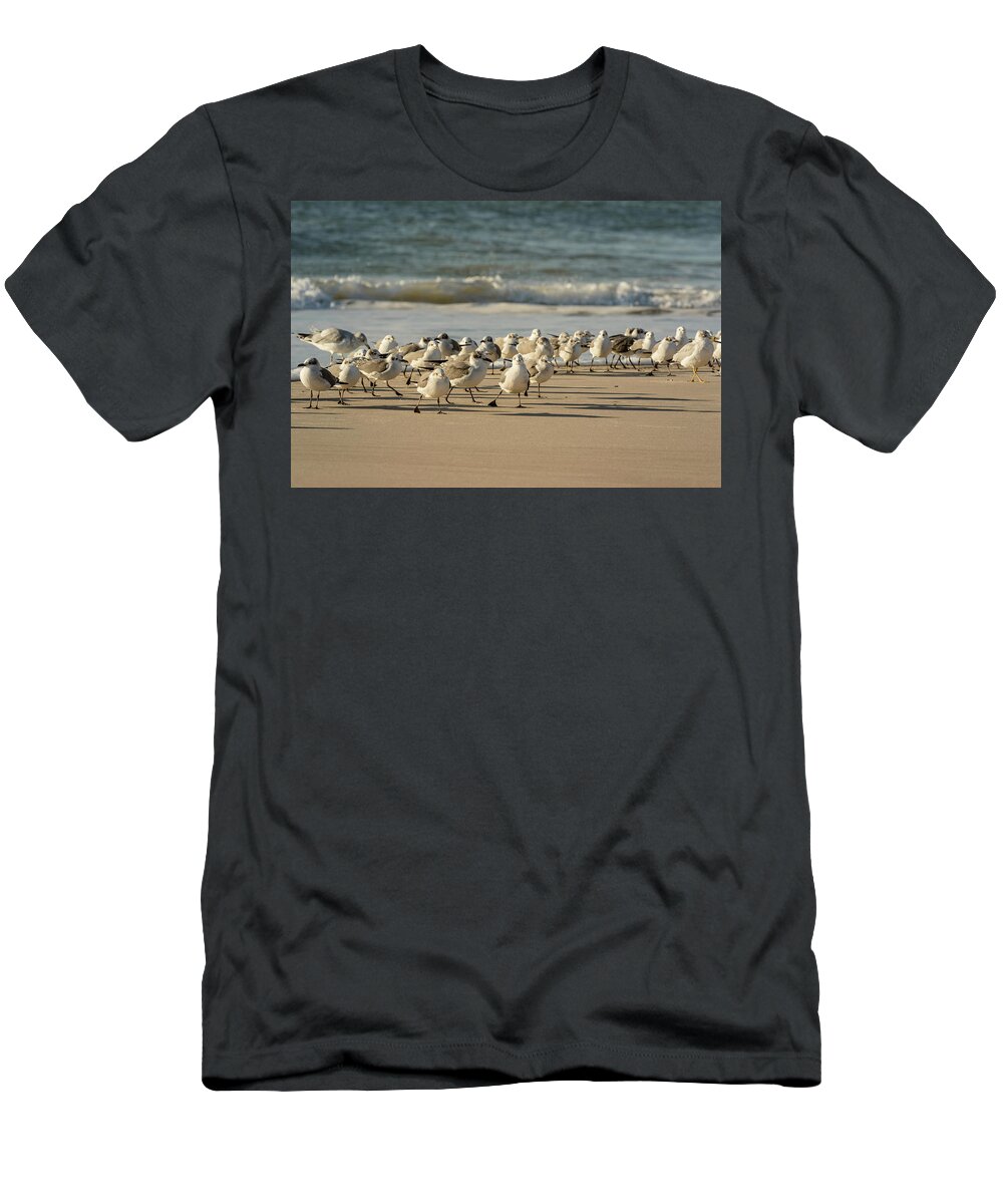 North Carolina T-Shirt featuring the photograph Exercise on the Beach by Joni Eskridge