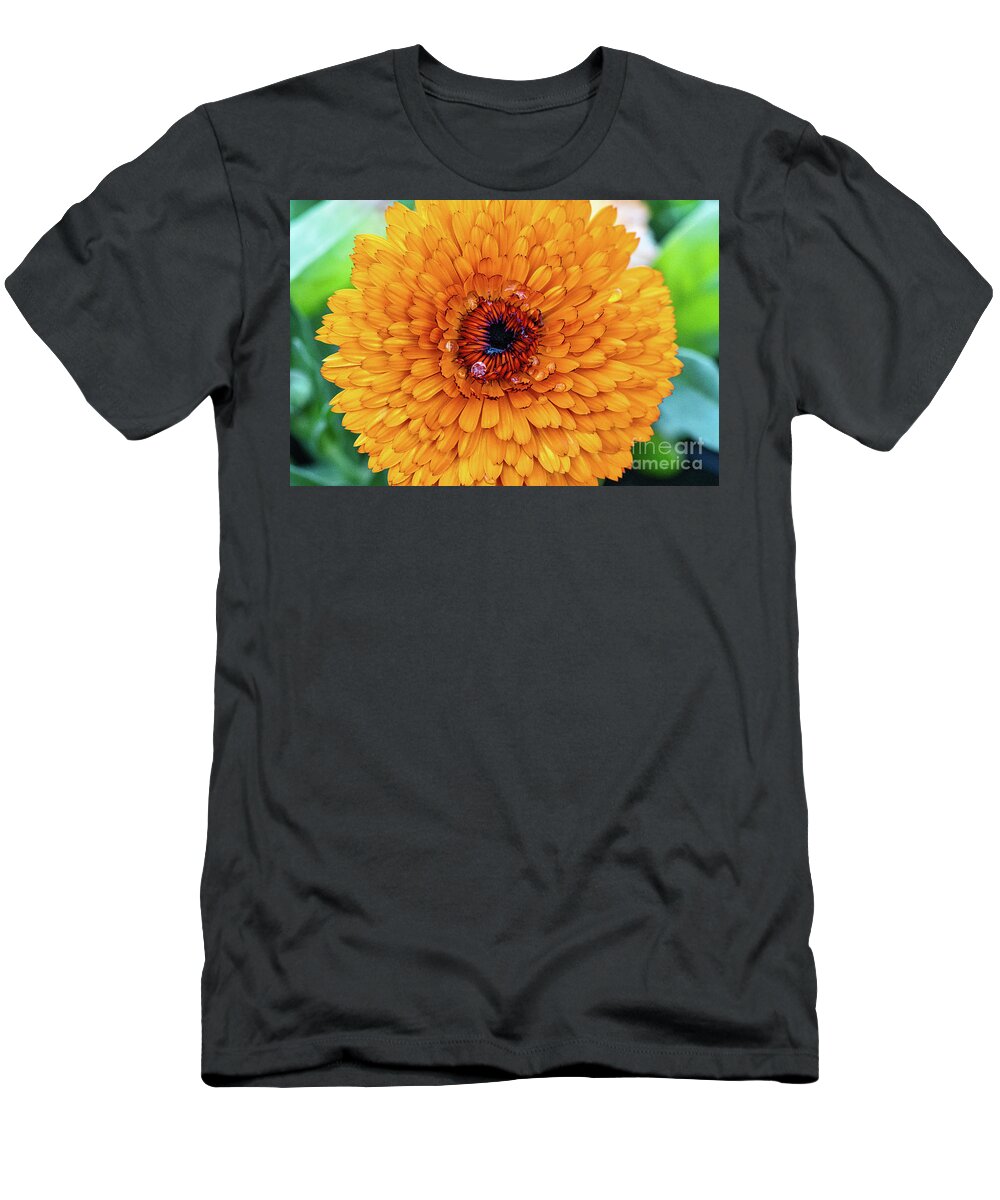Orange Flower T-Shirt featuring the photograph Eye of the Flower by Abigail Diane Photography