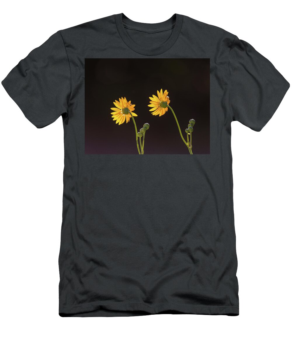 Facing The Light T-Shirt featuring the photograph Facing The Light by Dan Sproul