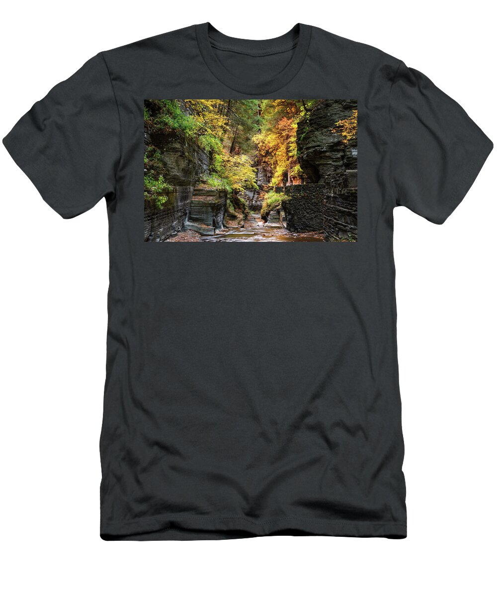 Magic T-Shirt featuring the photograph Fairy Bridge by C Renee Martin