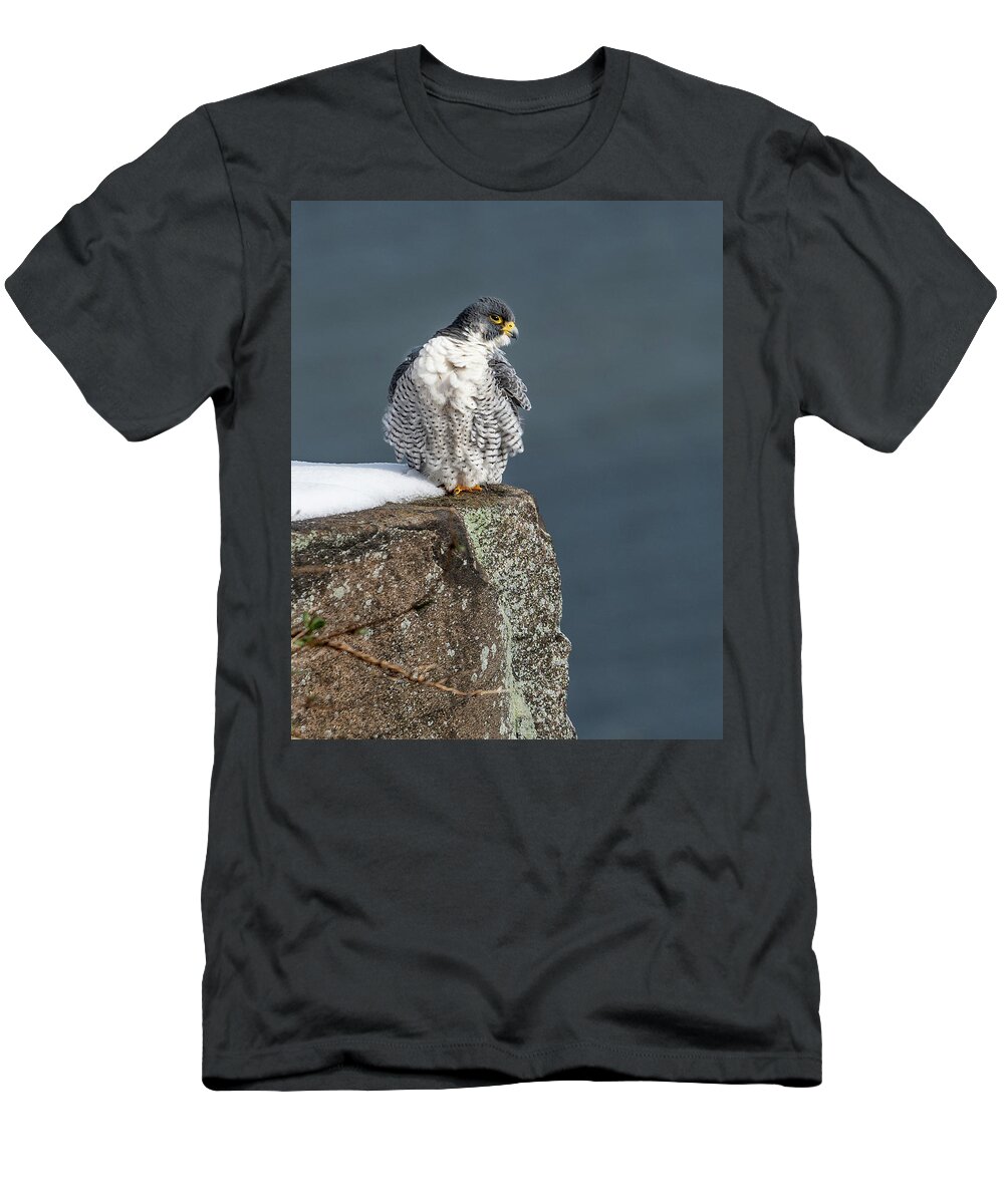 Birds T-Shirt featuring the photograph Falcon in Winter-3 by Kevin Suttlehan