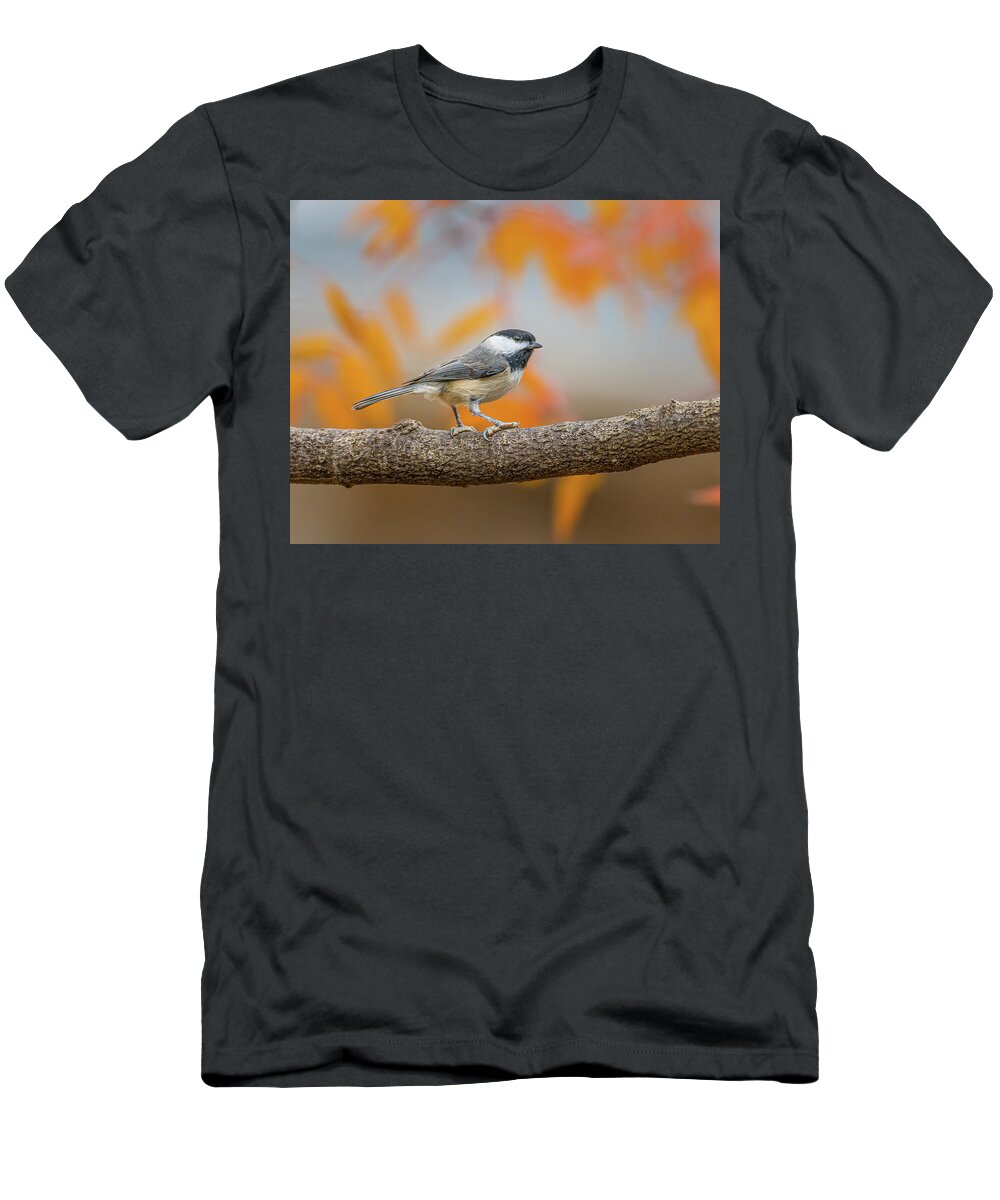 Chickadee T-Shirt featuring the photograph Fall Chickadee by David Downs