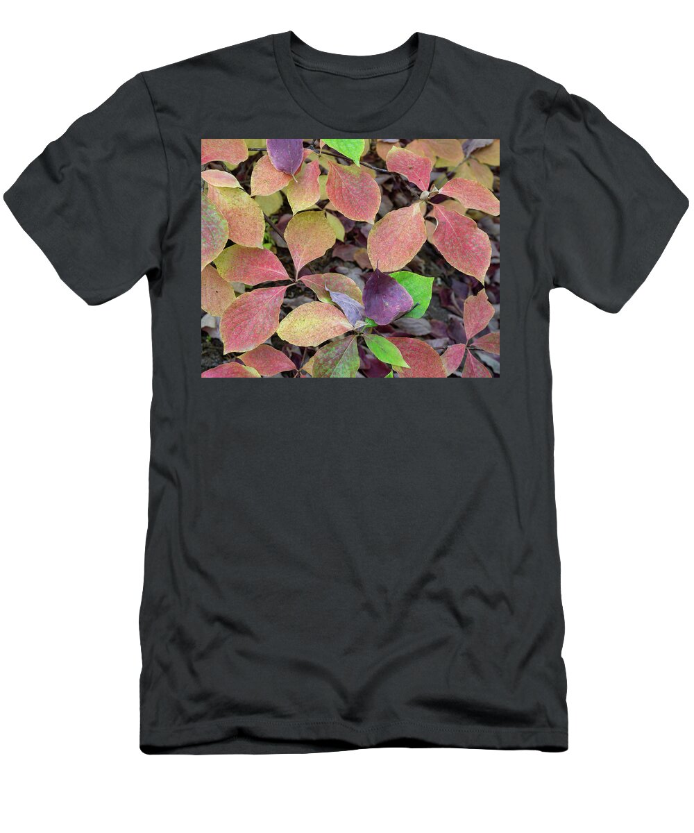 Fall Colors T-Shirt featuring the photograph Fall Colors Giant Forest by Brett Harvey