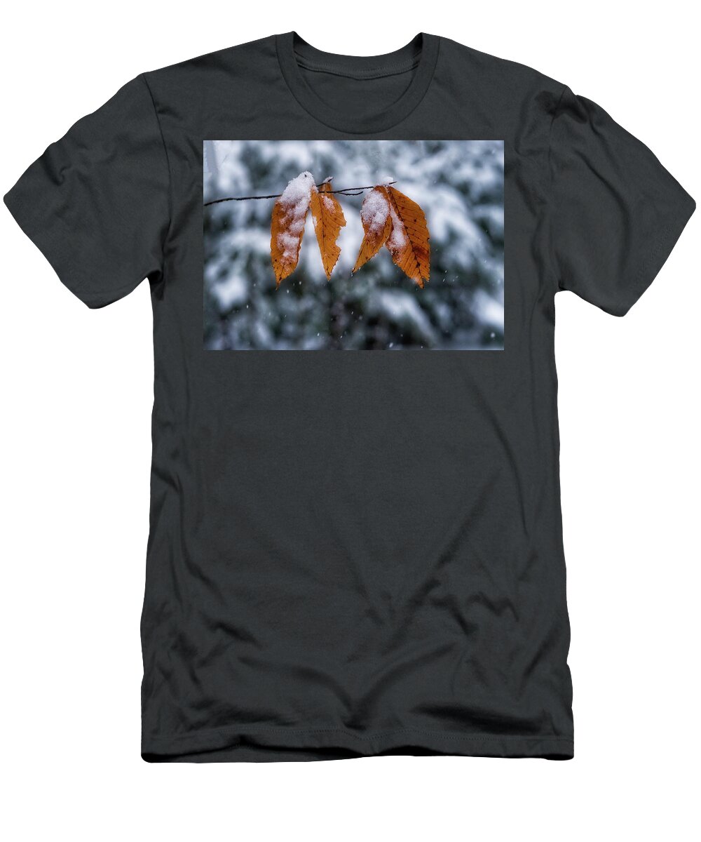 Maine T-Shirt featuring the photograph Fall Leaves in Snow by Steven Ralser