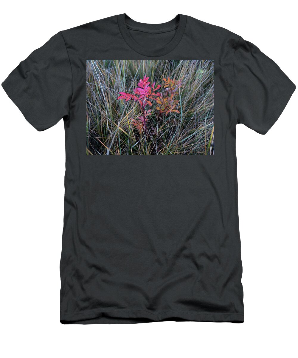 Wild Rose T-Shirt featuring the photograph Fall Wild Rose Plant On The Prairie by Karen Rispin