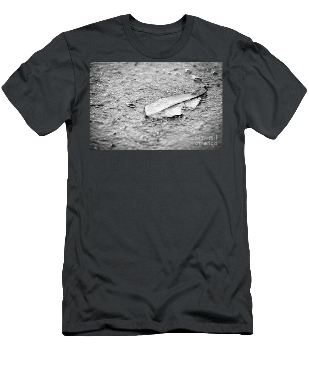 Botanical T-Shirt featuring the photograph Fallen Leaf in the Rain in Black and White Botanical / Nature Photograph by PIPA Fine Art - Simply Solid
