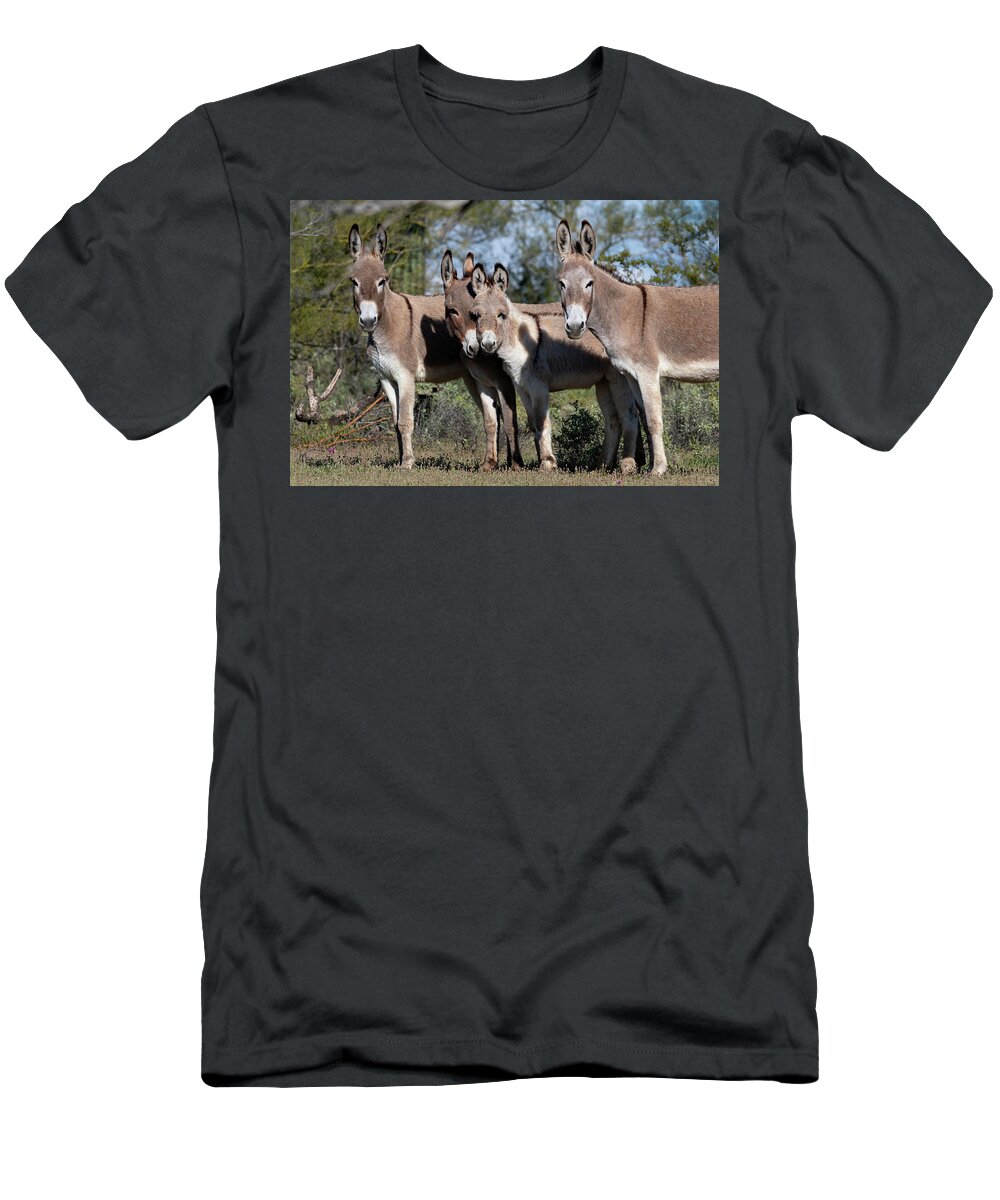Wild Burros T-Shirt featuring the photograph Family by Mary Hone
