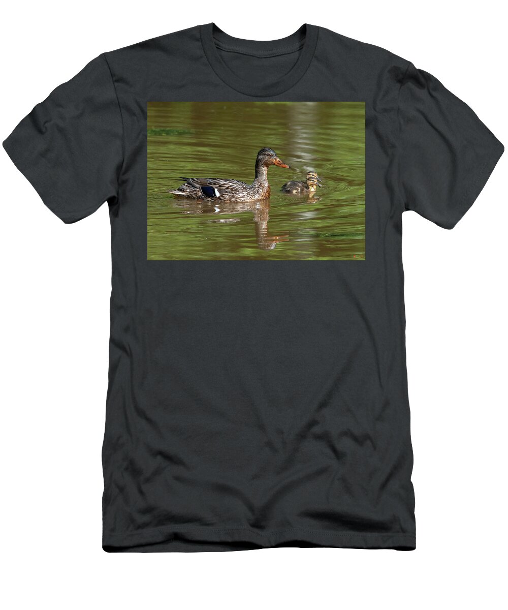 Nature T-Shirt featuring the photograph Family of Mallard Ducks DWF0242 by Gerry Gantt