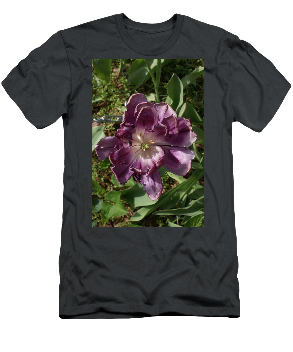  T-Shirt featuring the photograph Fancy Tulip by Heather E Harman