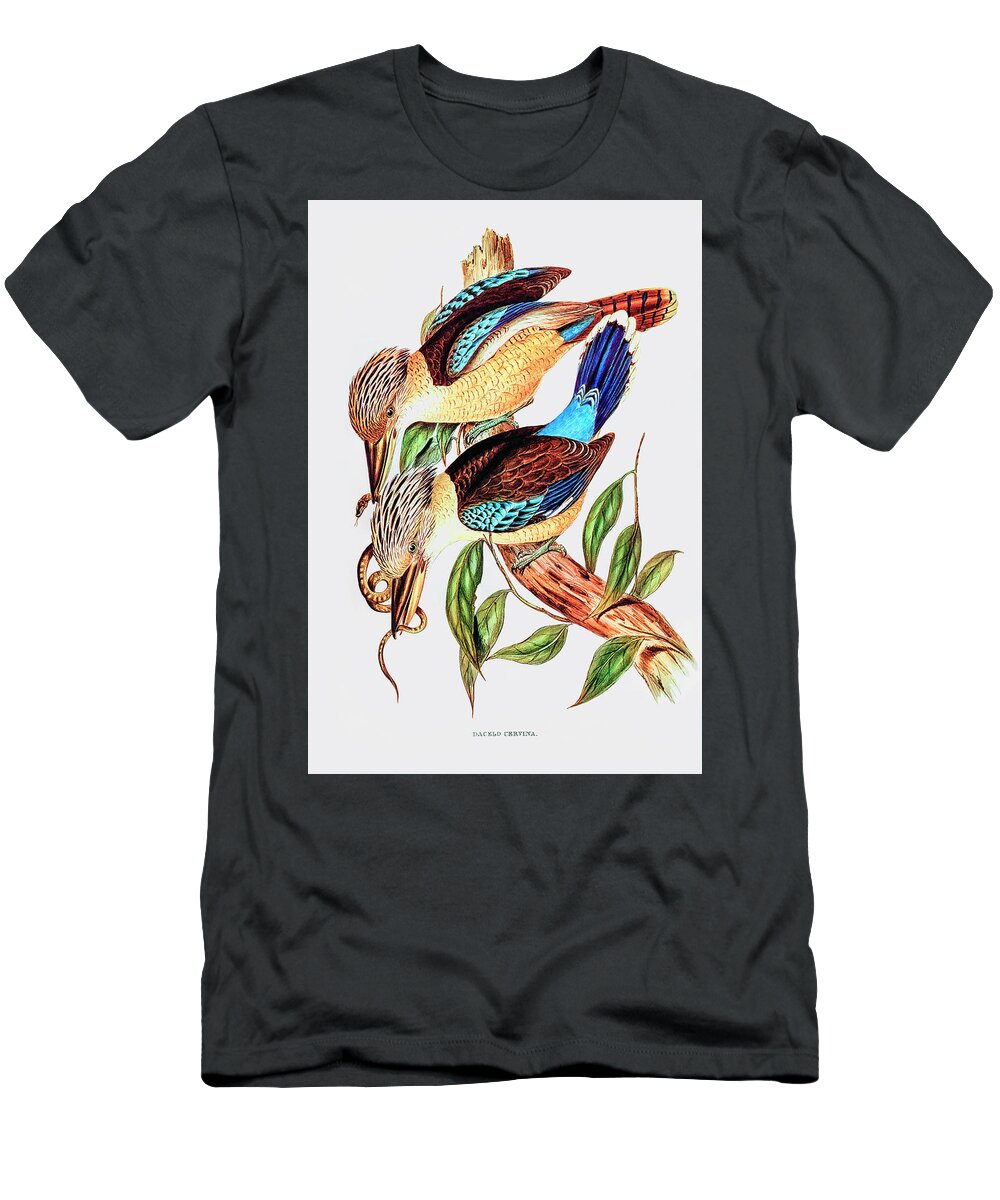 Fawn-breasted Kingfisher T-Shirt featuring the drawing Fawn-breasted Kingfisher by Elizabeth Gould