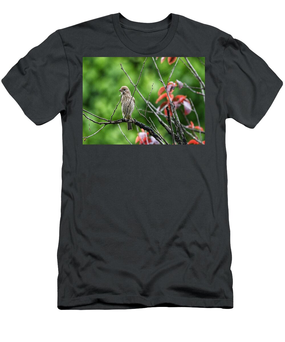 House Finch T-Shirt featuring the photograph Female House Finch by Evan Foster