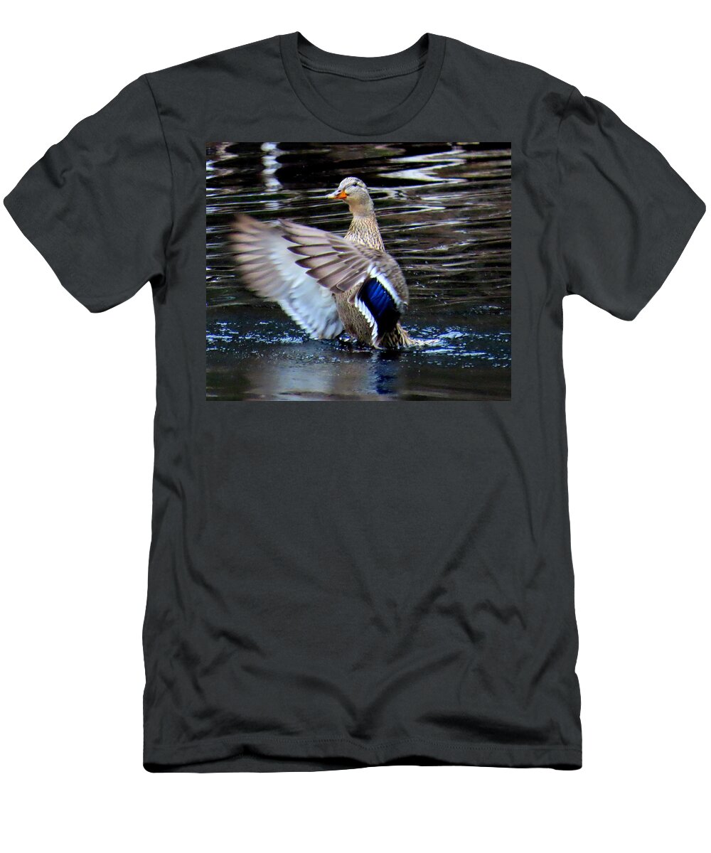 Cedar Run Wildlife Refuge In Medford T-Shirt featuring the photograph Female Mallard Coming in for a Landing by Linda Stern