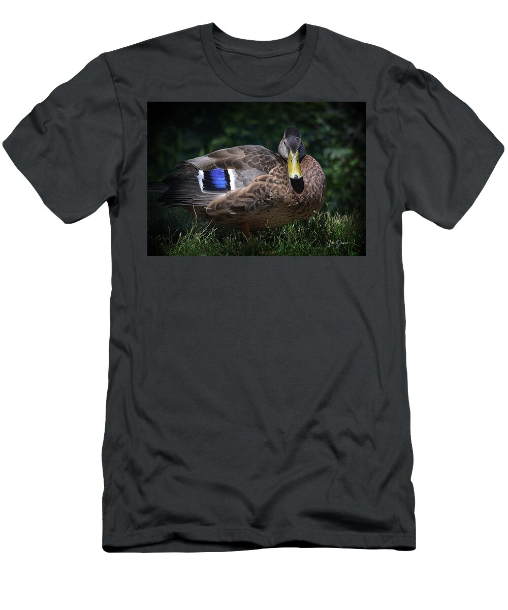 Female T-Shirt featuring the photograph Female Mallard Duck by Lori Seaman