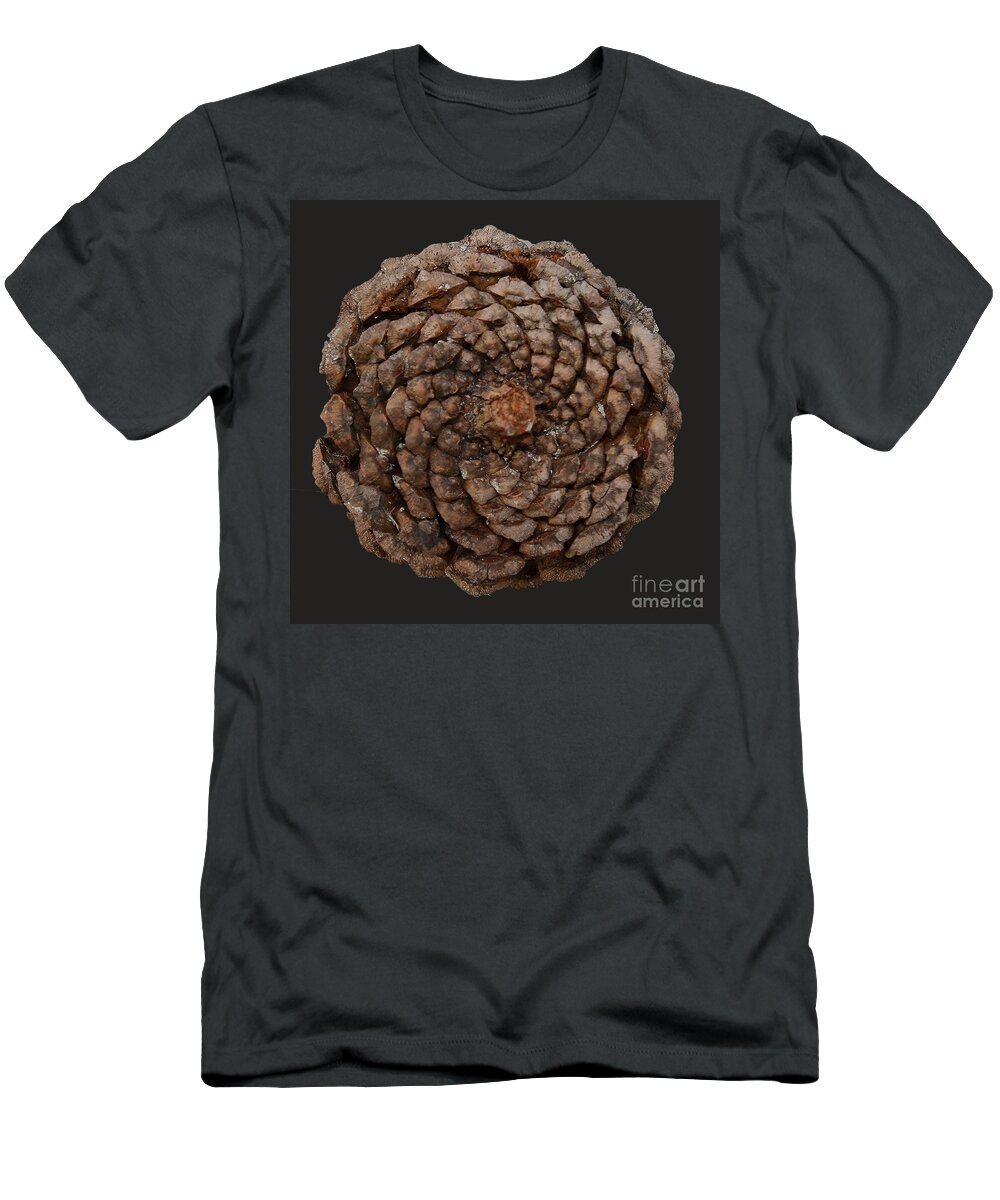 Fibonacci T-Shirt featuring the photograph Fibonacci by Alan Riches