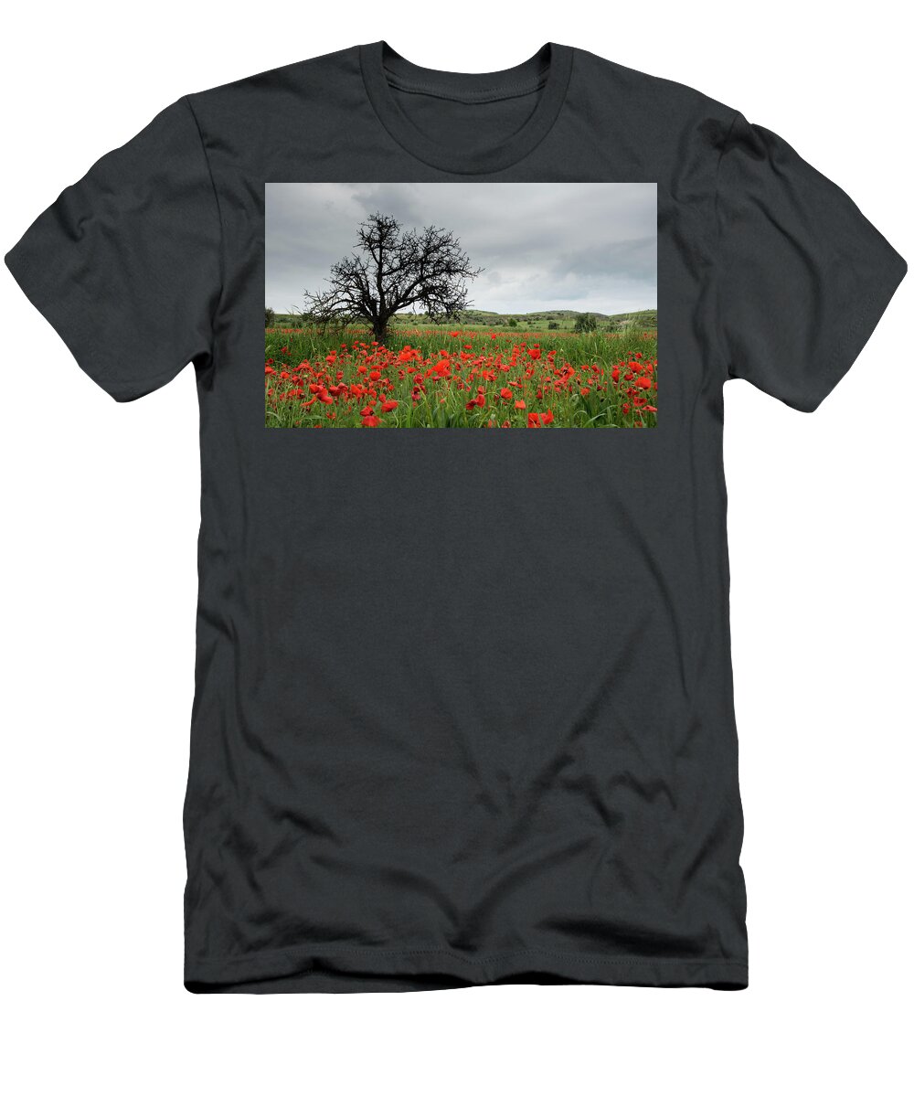 Poppy Anemone T-Shirt featuring the photograph Field full of red beautiful poppy anemone flowers and a lonely dry tree. Spring time, spring landscape Cyprus. by Michalakis Ppalis