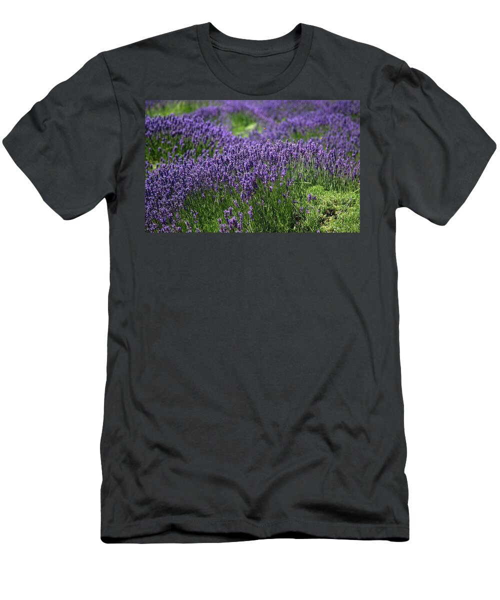 Purple T-Shirt featuring the photograph Field of Purple Flowers by Dart Humeston