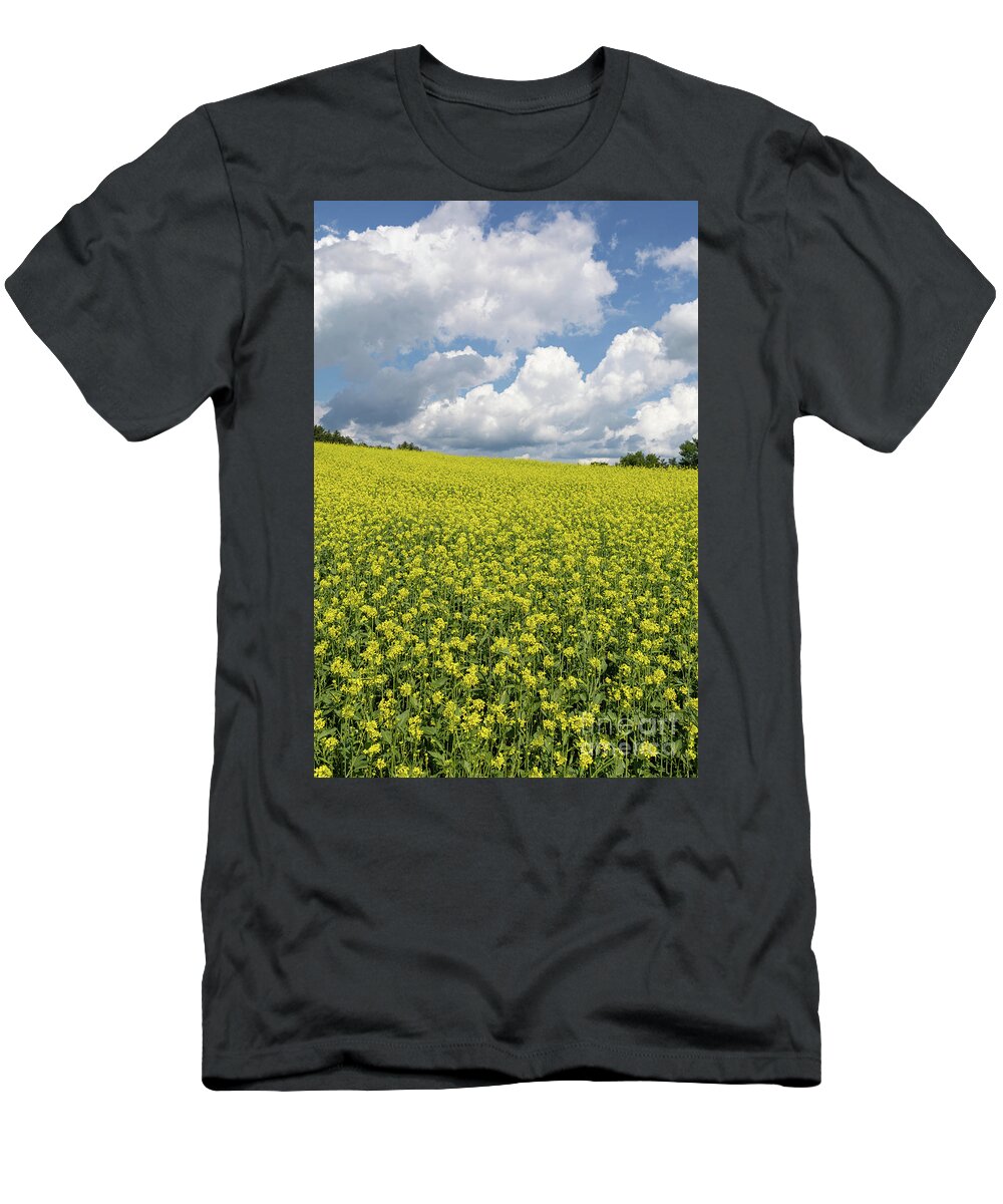Vermont T-Shirt featuring the photograph Field of Yellow Flowers by Edward Fielding