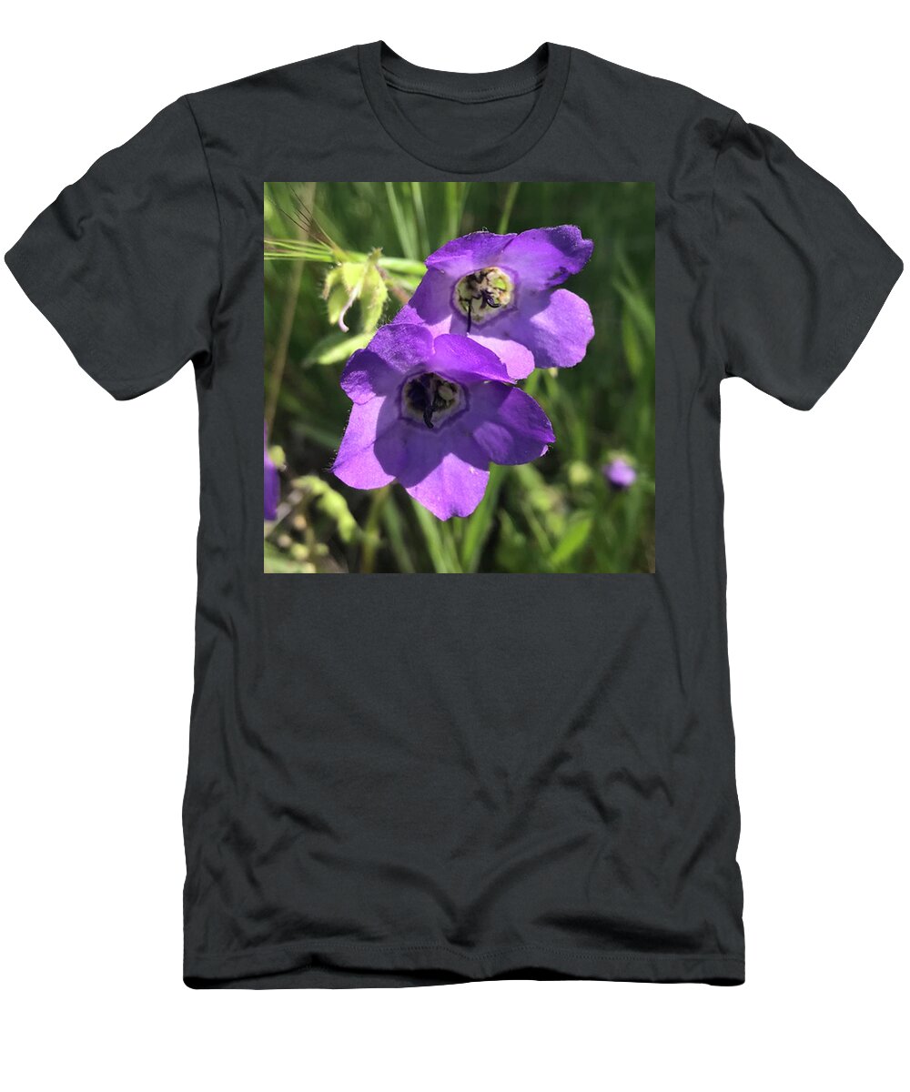 Fiesta Flower T-Shirt featuring the photograph Fiesta Flower by Perry Hoffman