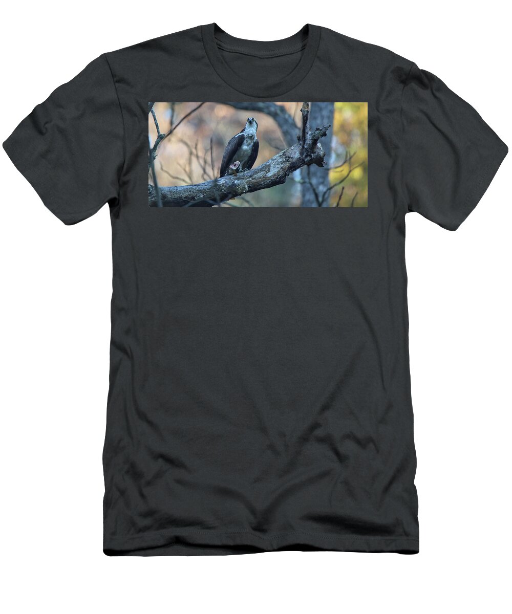 Osprey T-Shirt featuring the photograph First Catch Of The Day by Scott Burd