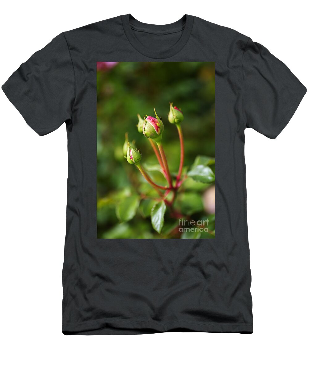 Abraham Darby Rose Flower T-Shirt featuring the photograph Five Pink Rose Buds by Joy Watson
