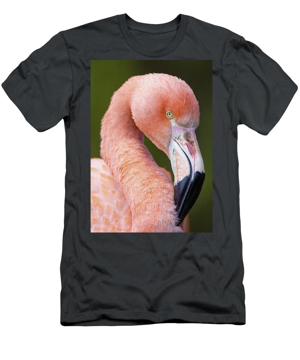 Flamingo T-Shirt featuring the photograph Flamingo portrait by Gareth Parkes