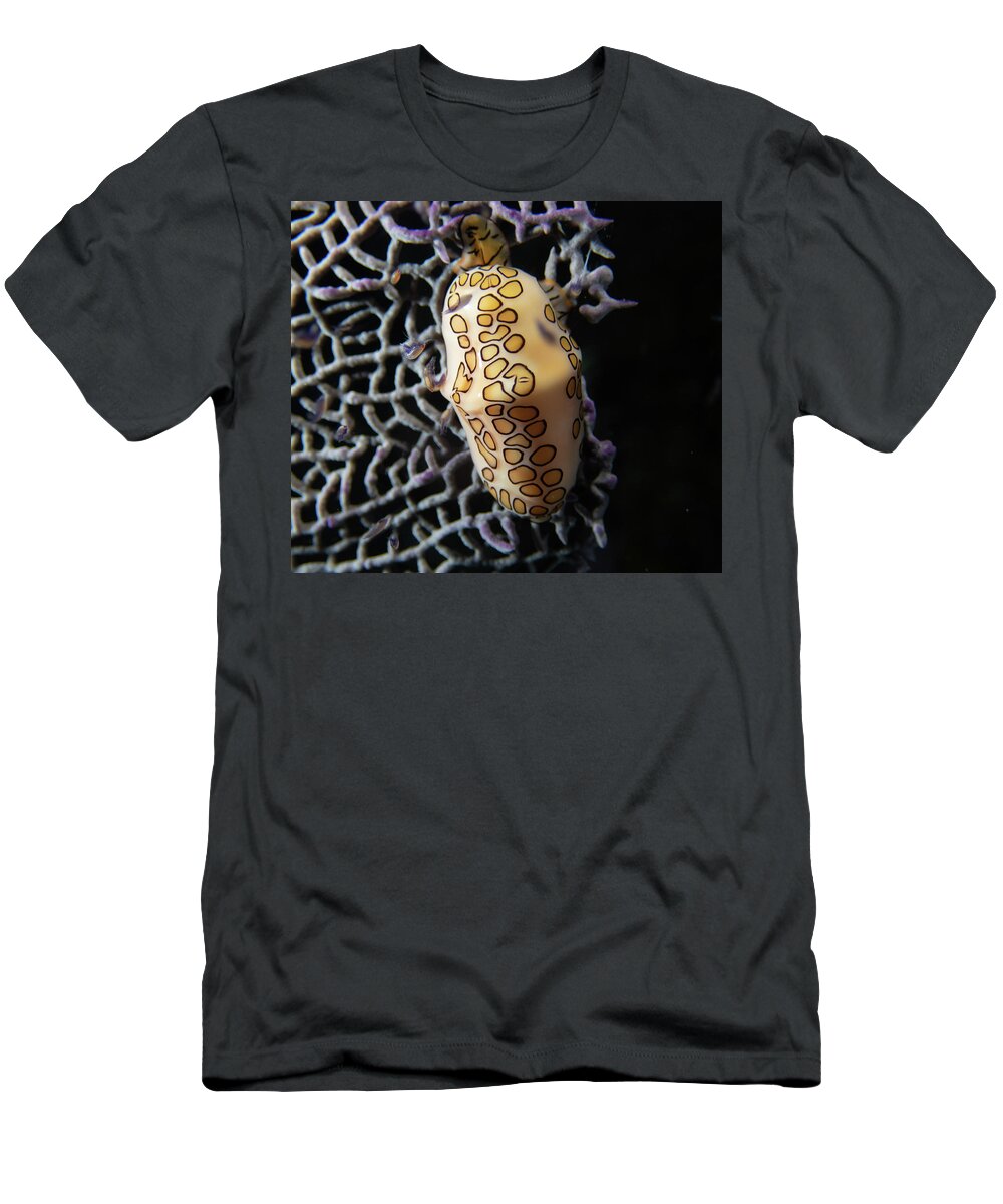 Snail T-Shirt featuring the photograph Flamingo Tongue by Brian Weber