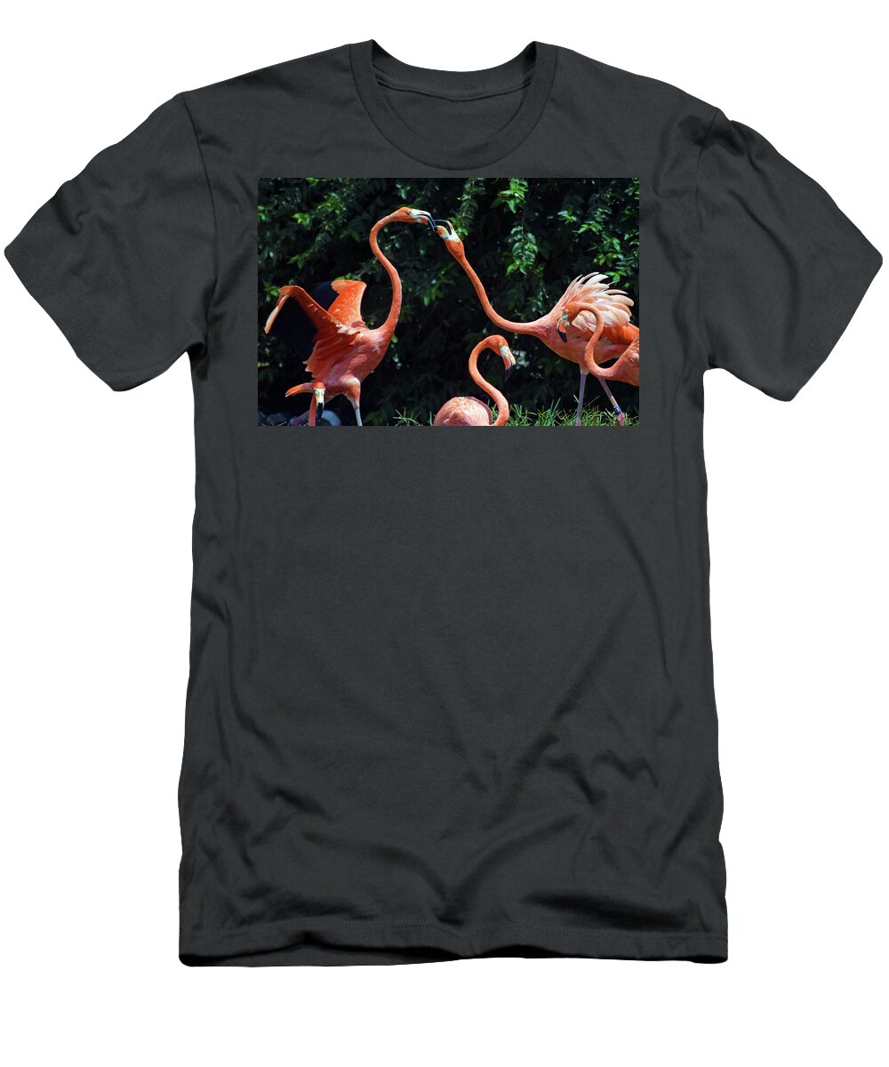 Photograph T-Shirt featuring the photograph Flamingos by Larah McElroy