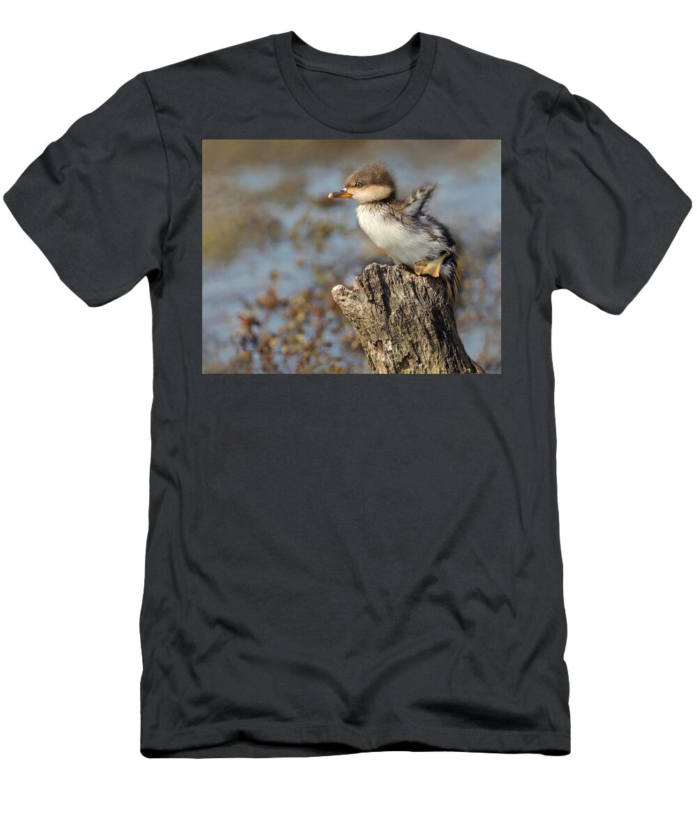 Merganser T-Shirt featuring the photograph Flap or Flight by Art Cole