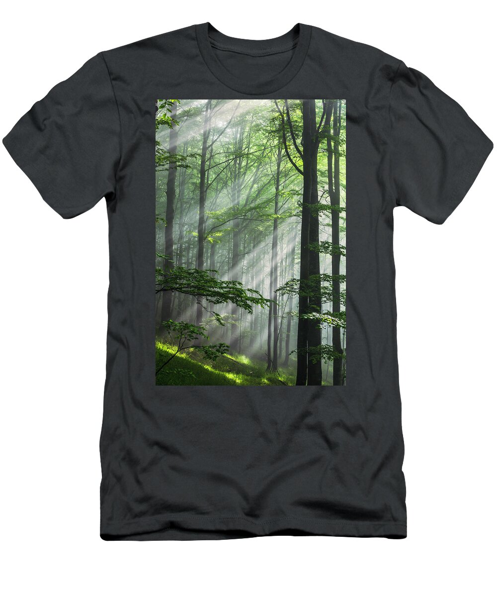 Fog T-Shirt featuring the photograph Fleeting Beams by Evgeni Dinev