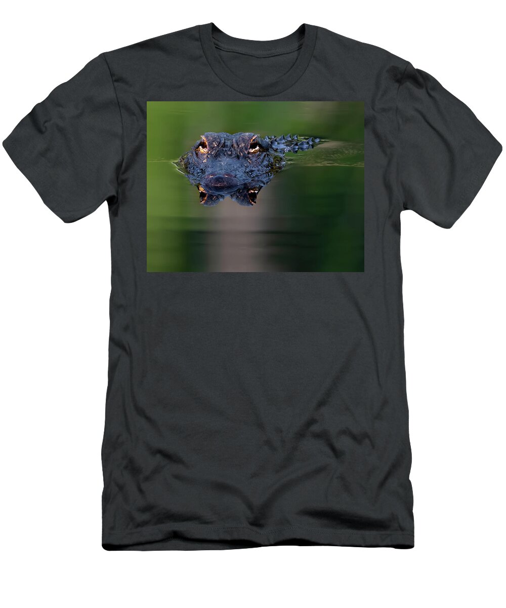 Aligator T-Shirt featuring the photograph Florida Gator 5 by Larry Marshall
