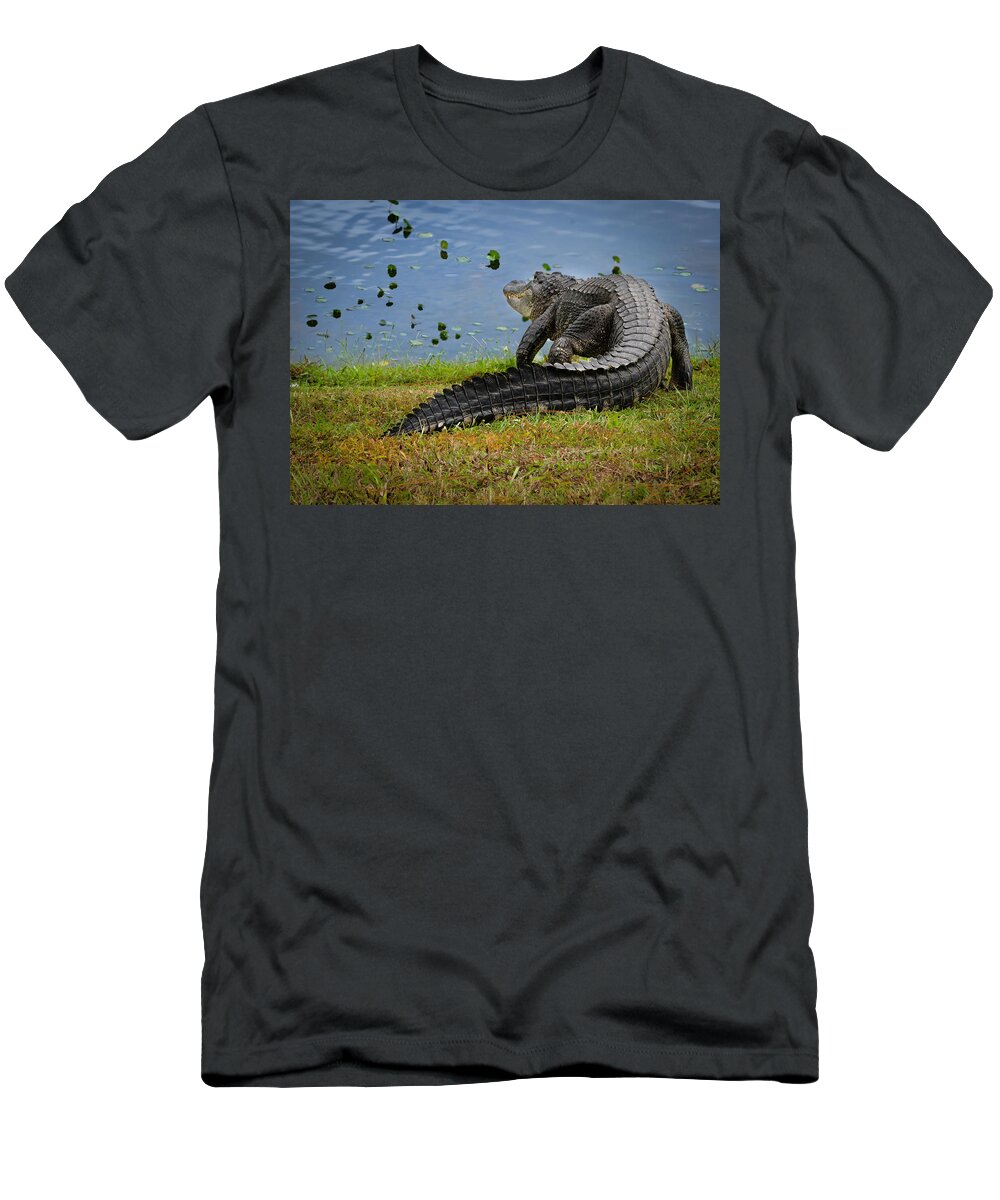 Aligator T-Shirt featuring the photograph Florida Gator by Larry Marshall