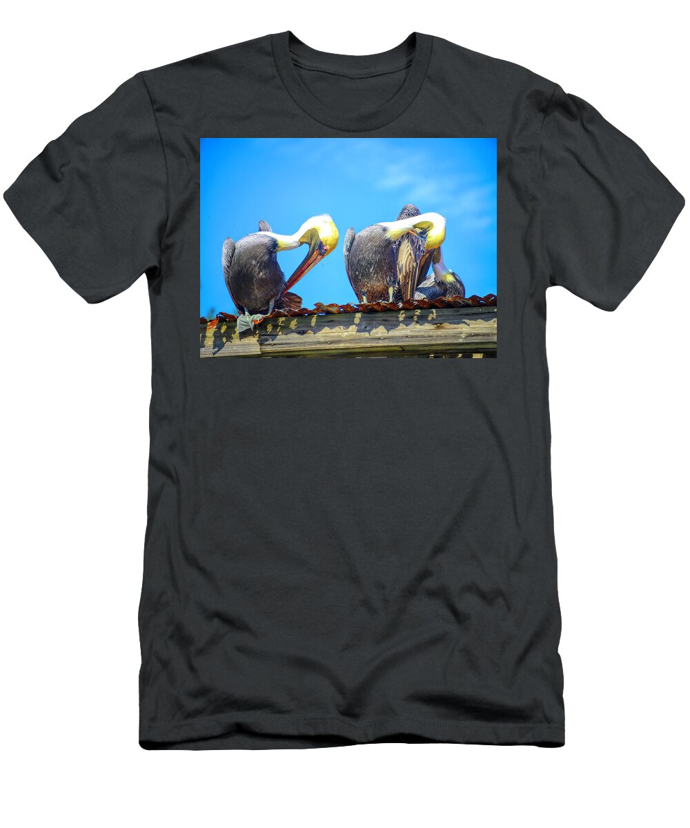 Pelicans T-Shirt featuring the photograph Florida pelicans by Alison Belsan Horton