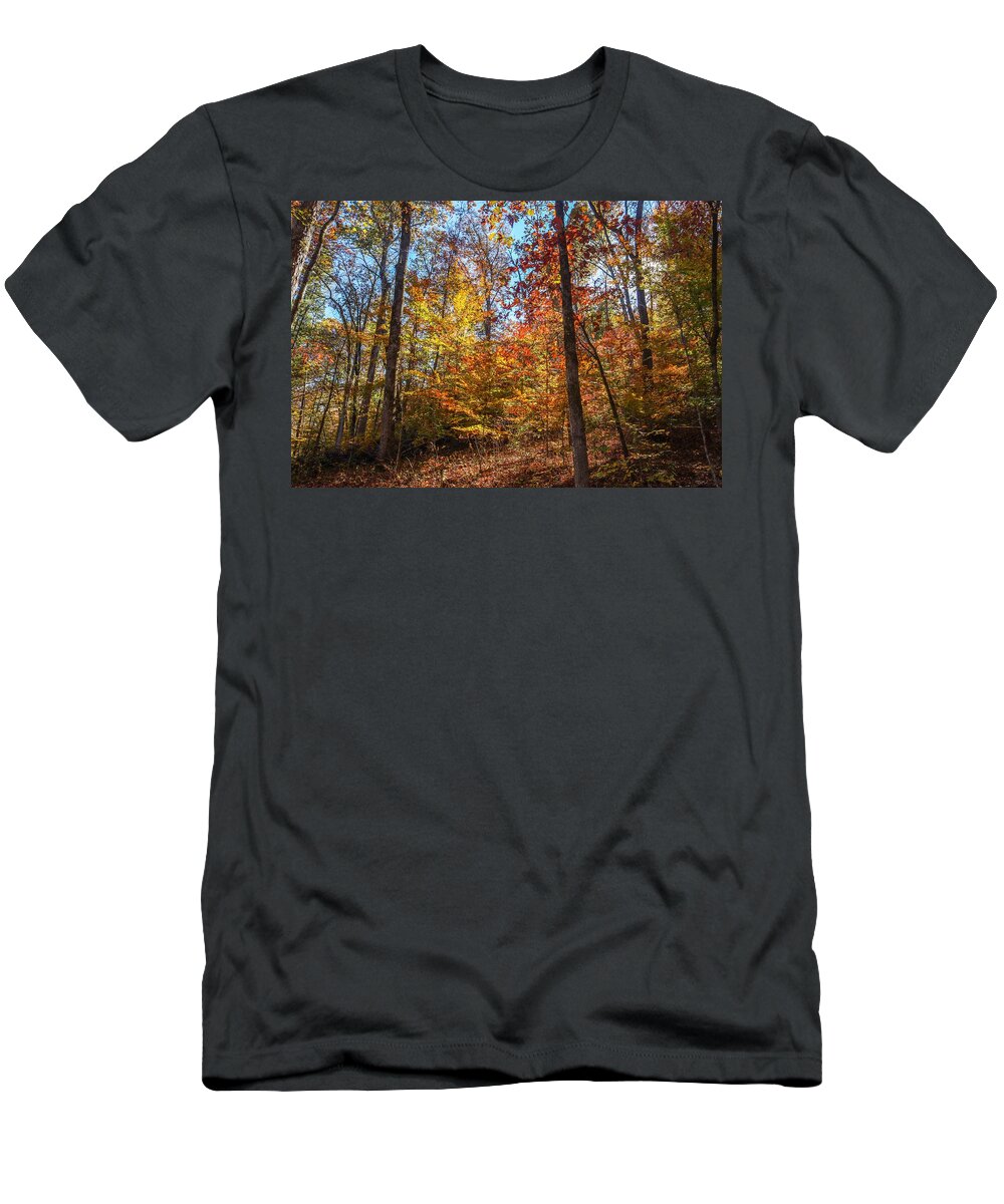 Flovilla T-Shirt featuring the photograph Flovilla Hillside Tree Colorations by Ed Williams