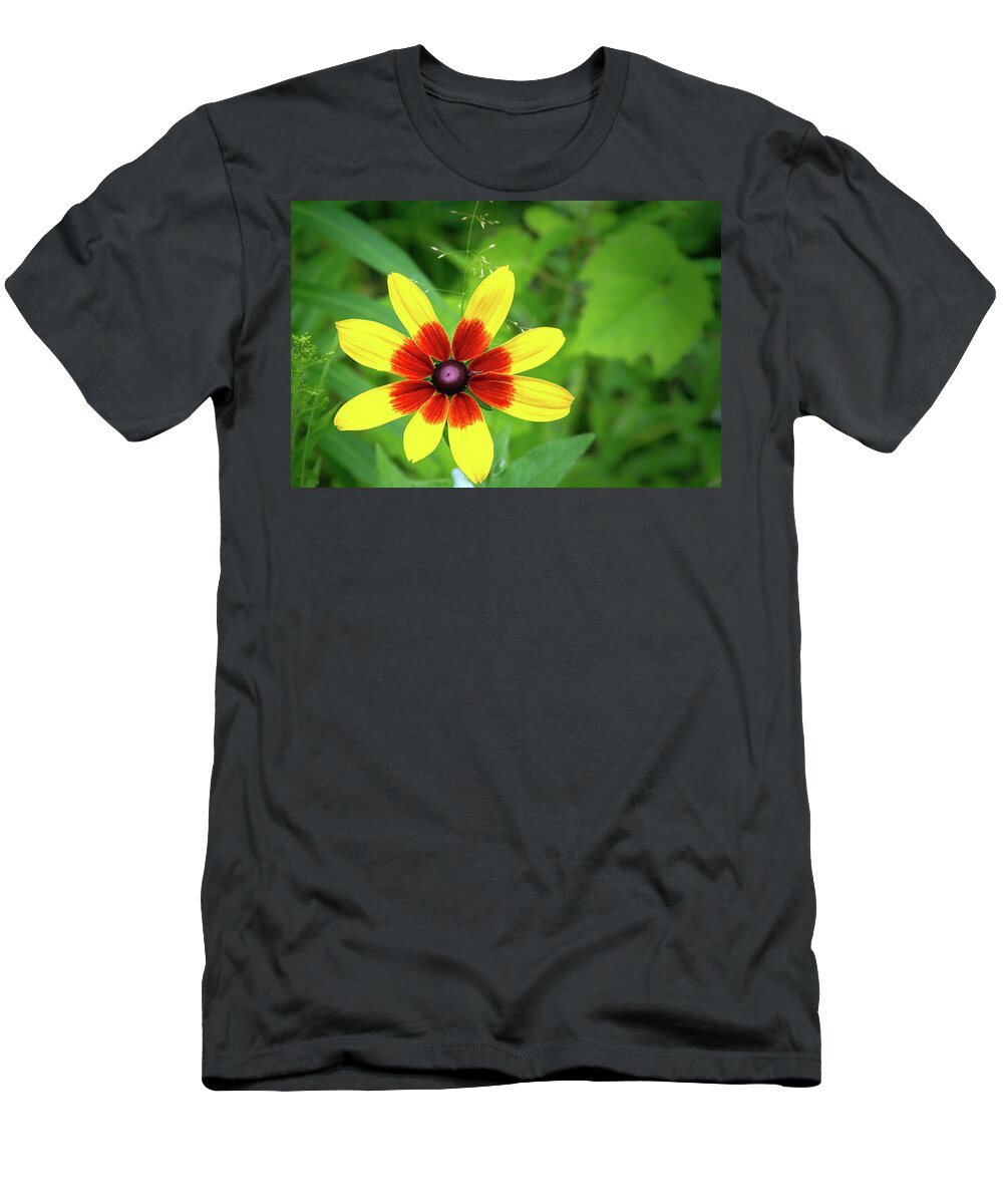 Flower T-Shirt featuring the photograph Flower by the Mailbox by Robert Carter