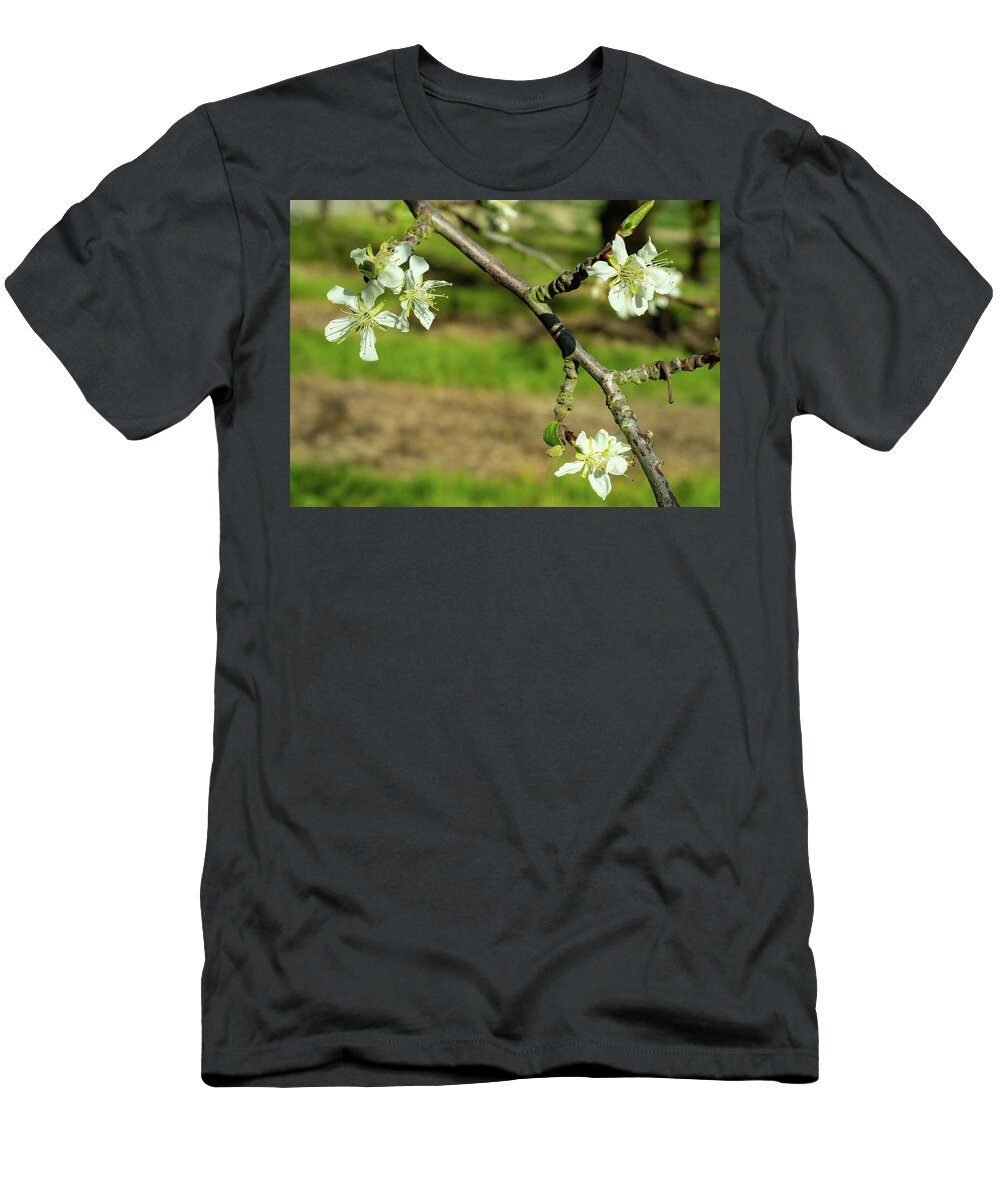 Blossom T-Shirt featuring the photograph Flowers to Fruit by Leslie Struxness