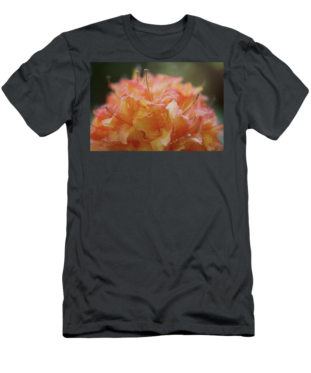  T-Shirt featuring the photograph Fluffy Orange by Nicole Engstrom