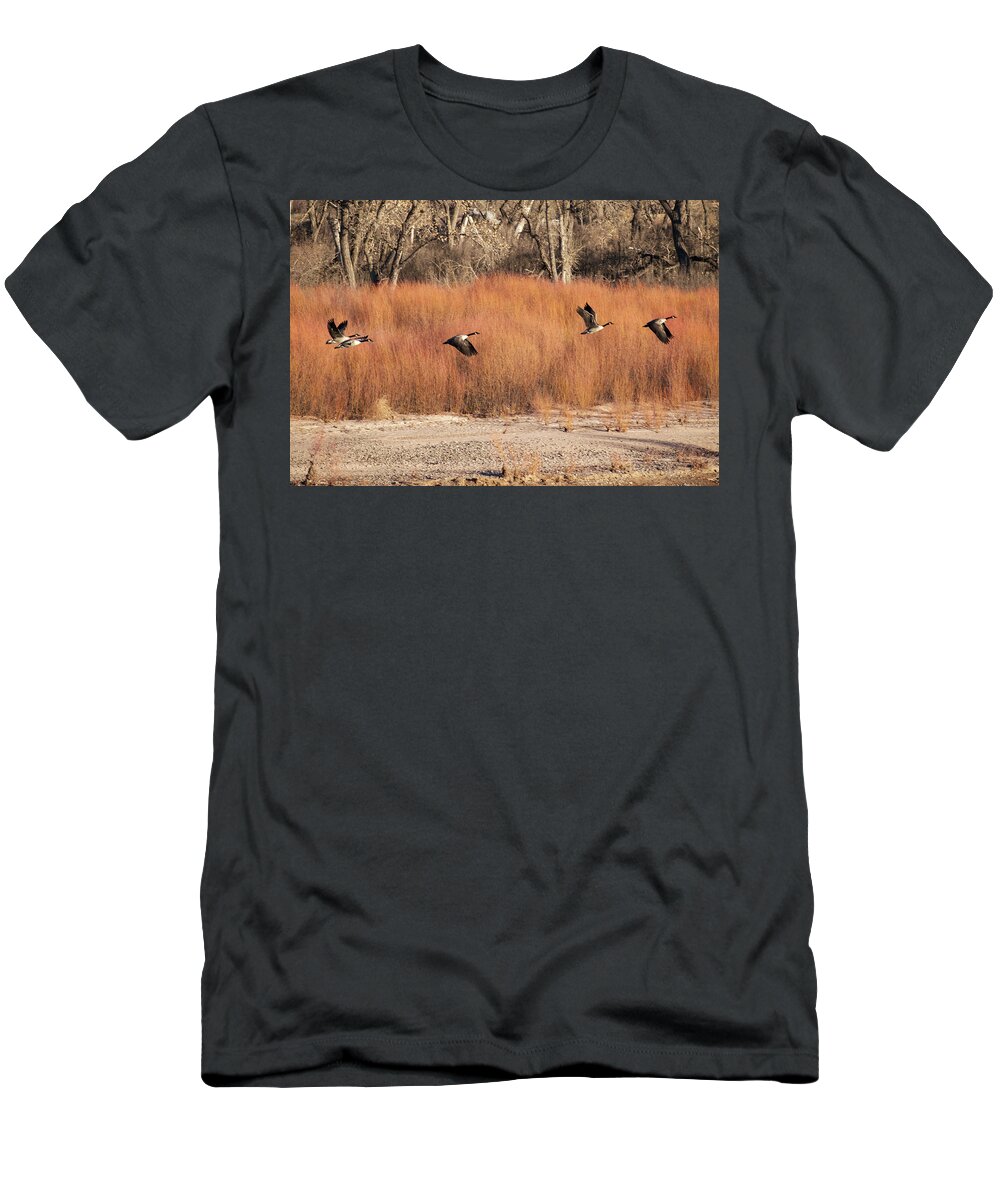 Geese T-Shirt featuring the photograph Flying Geese in the Bosque by Mary Lee Dereske