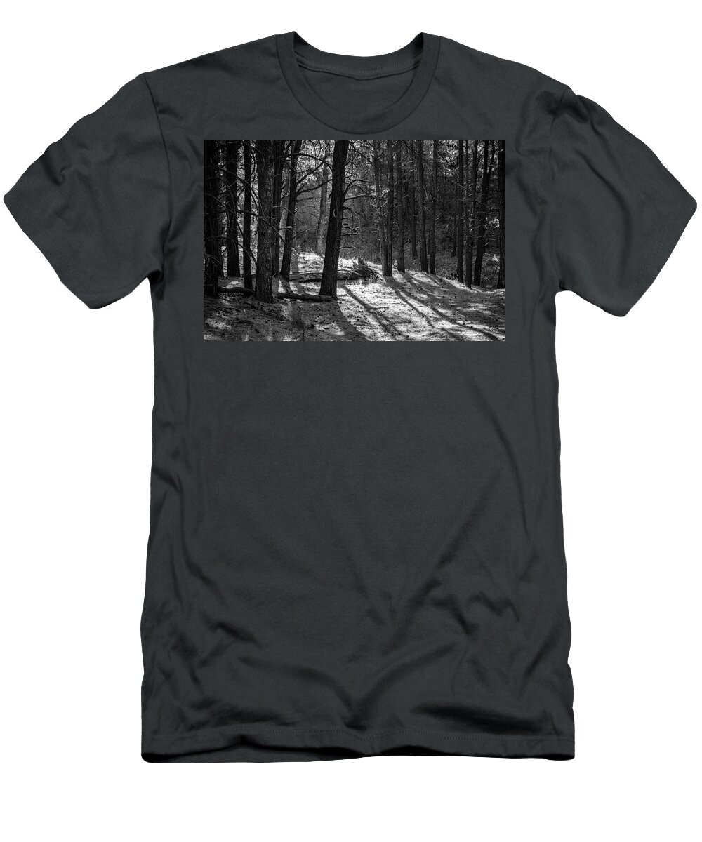 Trees T-Shirt featuring the photograph Forest Floor Jemez New Mexico by Mary Lee Dereske