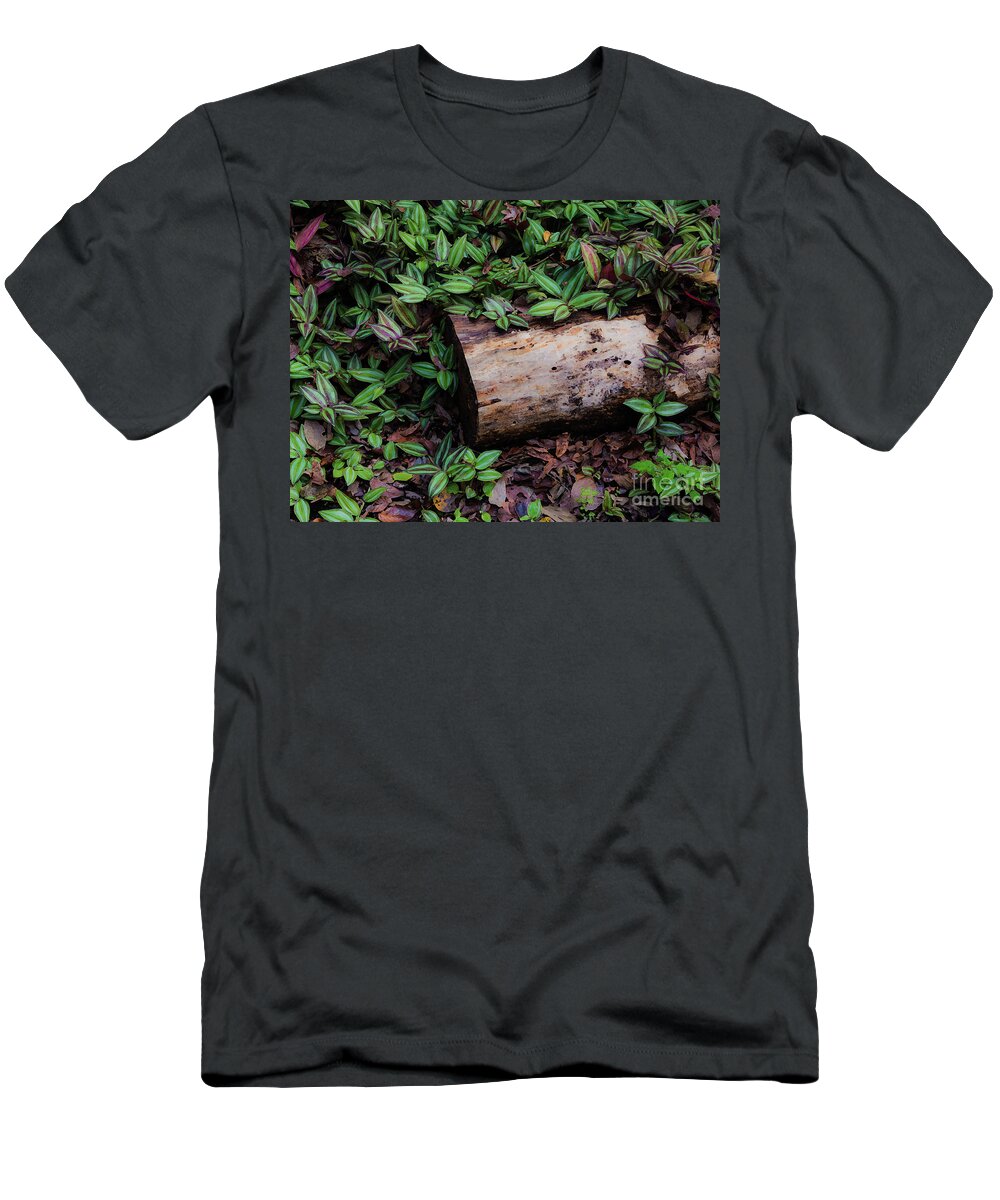 Zebrina Pendula T-Shirt featuring the photograph Forest Floor by Neala McCarten
