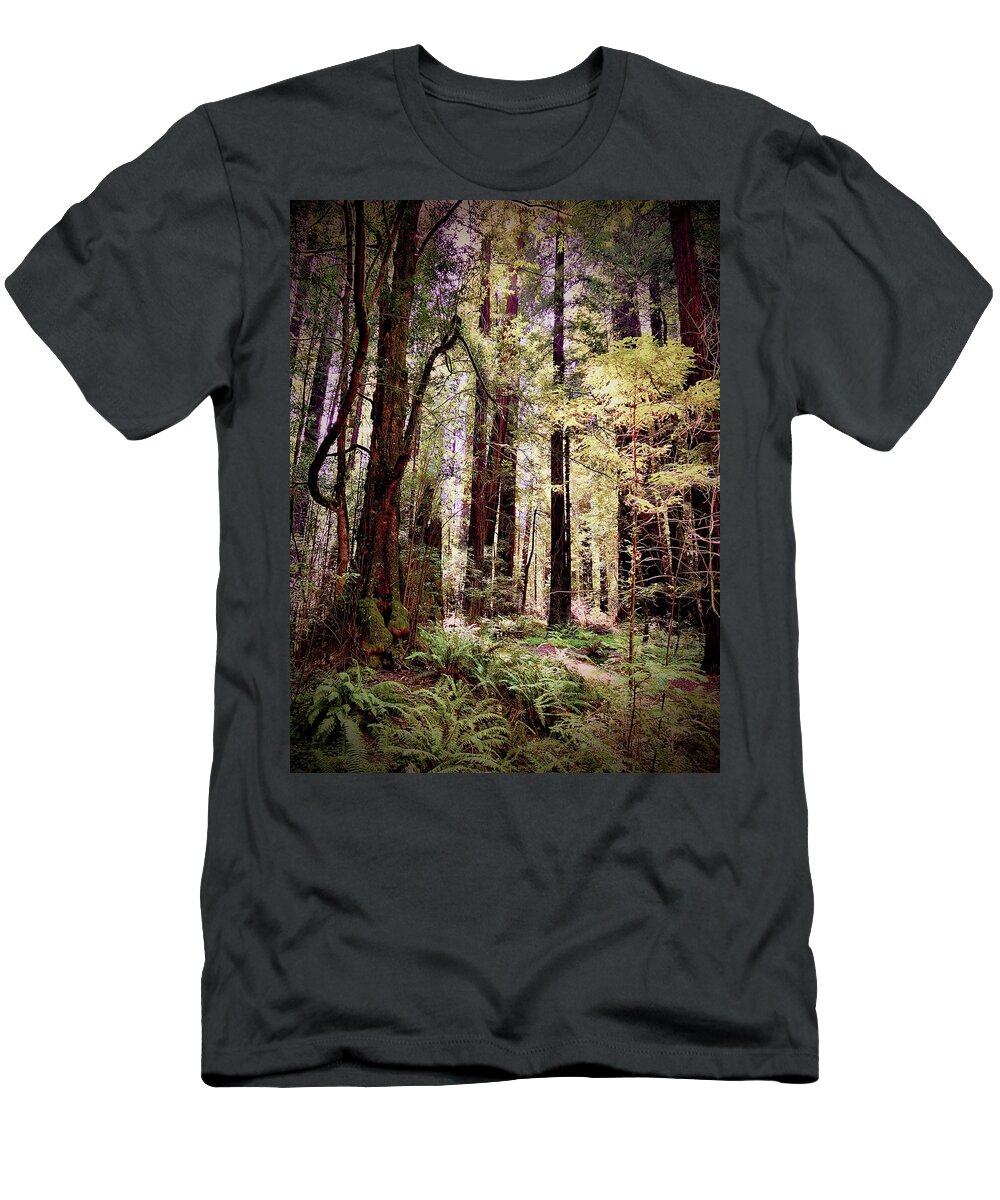 Redwoods. Humboldt County T-Shirt featuring the photograph Forest Light by Daniele Smith