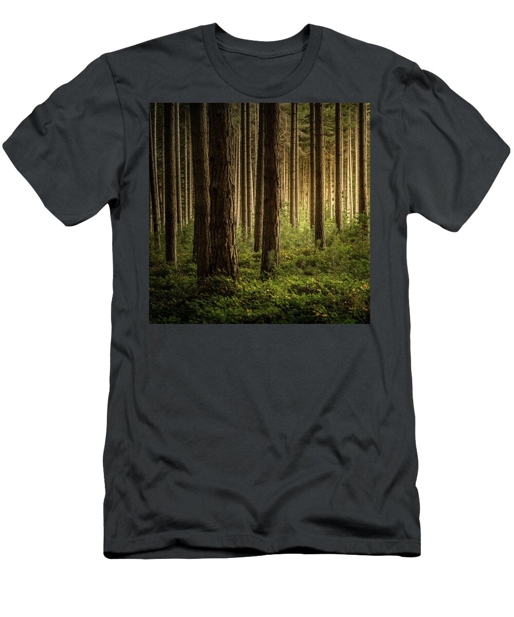 Landscape T-Shirt featuring the photograph Forest Light by Grant Galbraith