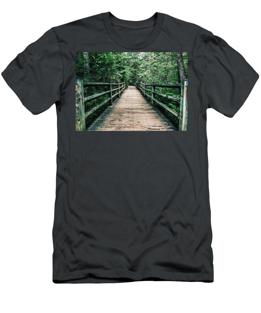 Forest Pathway T-Shirt featuring the photograph Forest Pathway by Dan Sproul