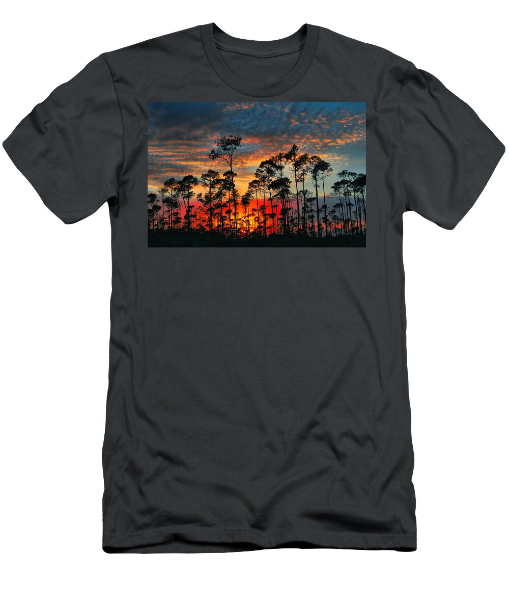 Sunset T-Shirt featuring the photograph Forrest Sunset by Montez Kerr