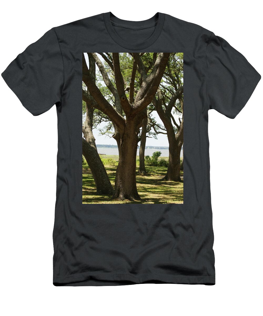  T-Shirt featuring the photograph Fort Fisher Oak by Heather E Harman