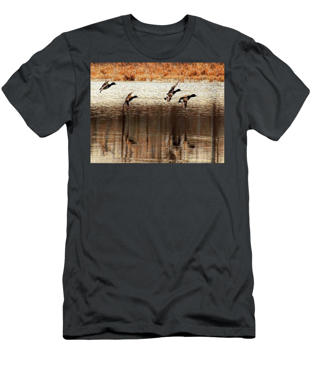 Waterfowl T-Shirt featuring the photograph Four Ringers With Wings Set by Dale Kauzlaric