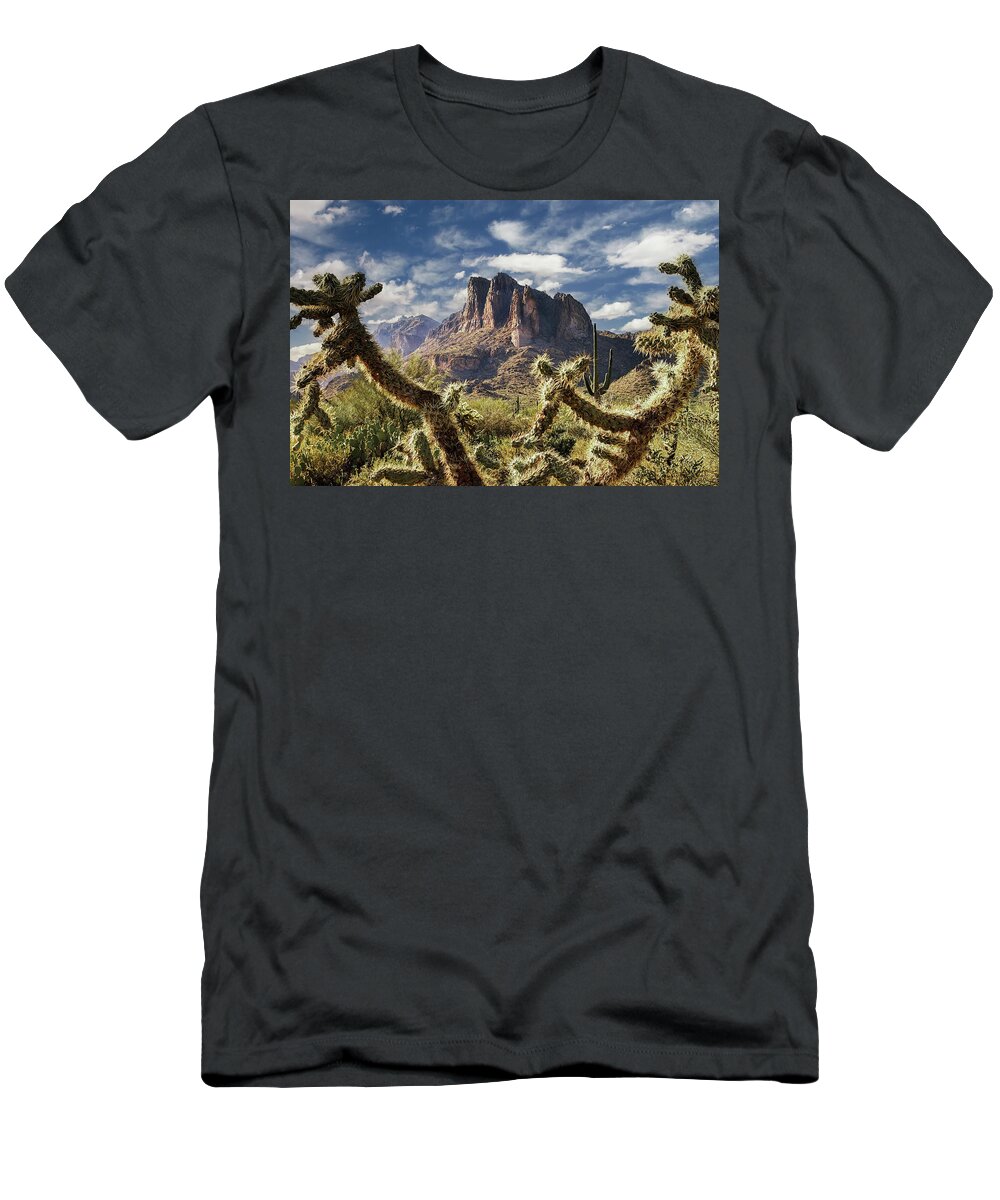 American Southwest T-Shirt featuring the photograph Framed by Cholla by Rick Furmanek