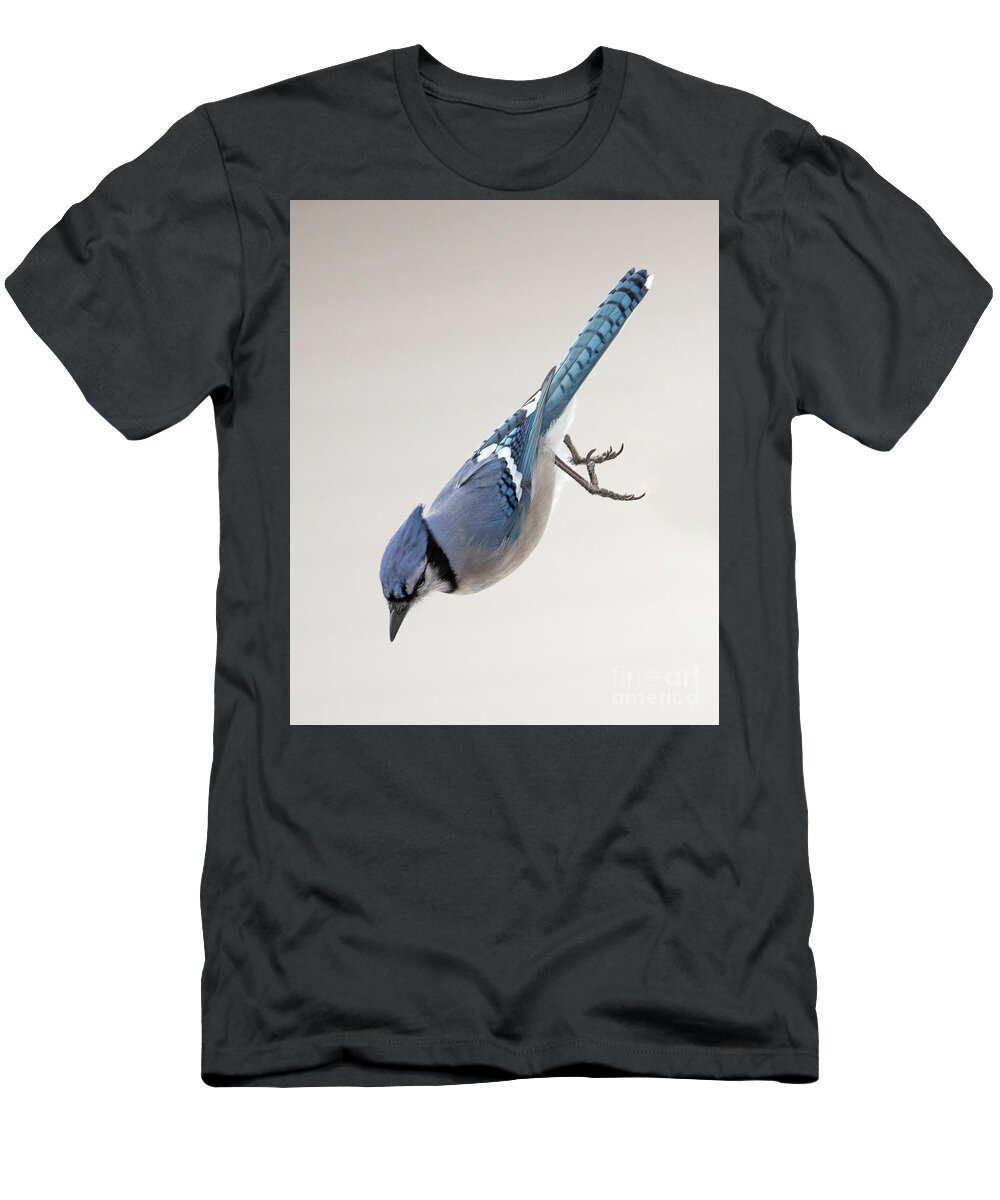 Blue Jay T-Shirt featuring the photograph Free Falling for a Peanut by Sandra Rust