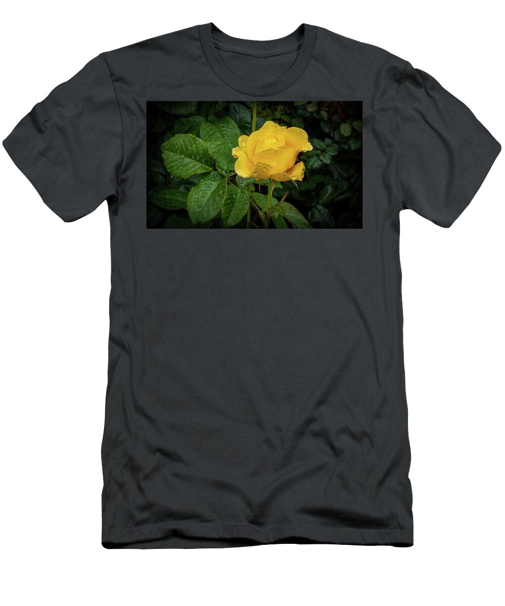 Rose T-Shirt featuring the photograph Fresh Yellow Rose by Stephen Sloan