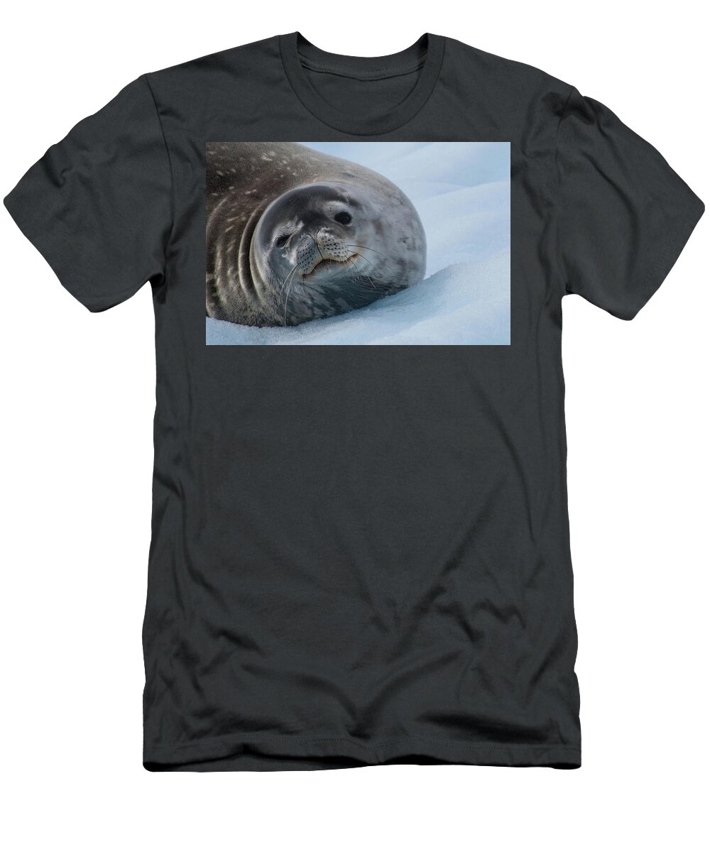 Seal. Sea Lion T-Shirt featuring the photograph Friendly Weddell Seal by Linda Villers